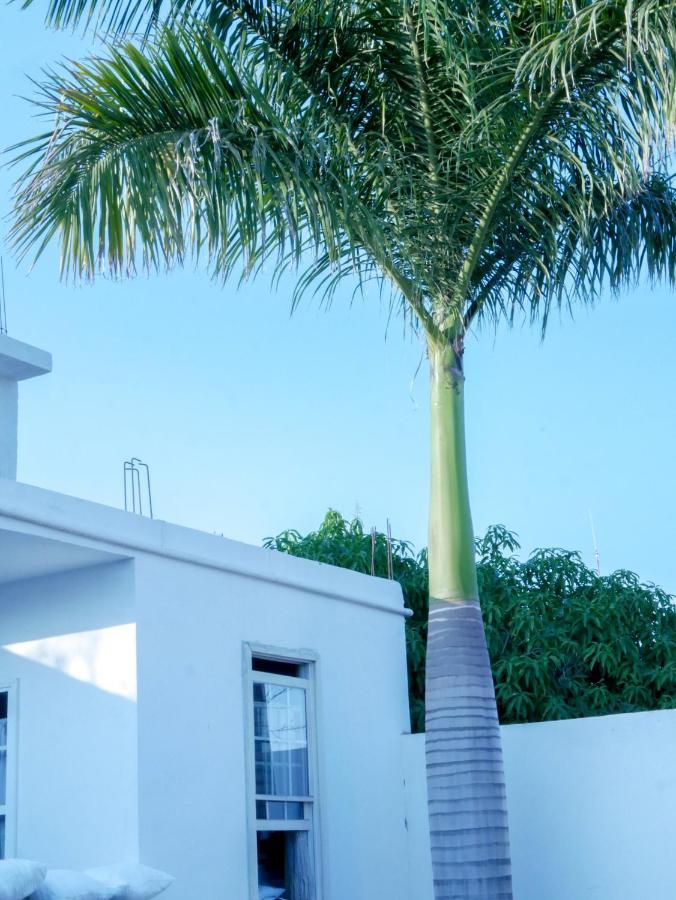 Hotel La Huerta Río Verde Eksteriør billede
